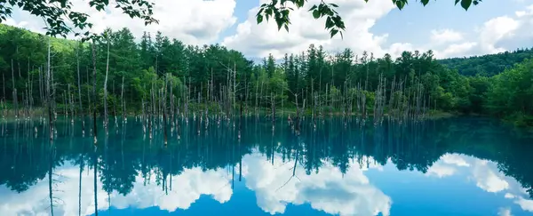 stock image Beautiful scenery Blue Pond, aoi-ike in Japanese, in summer Shirogane, Biei, Hokkaido, Japan with pine tree reflection.