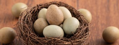 Taze düğmeli bıldırcın yumurtaları ahşap masa arkasında bir yuvada.