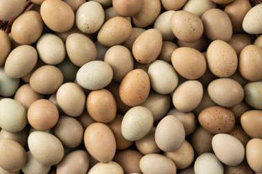 Yuvadaki taze düğmeli bıldırcın yumurtalarının ahşap masa arkasındaki görüntüsü..