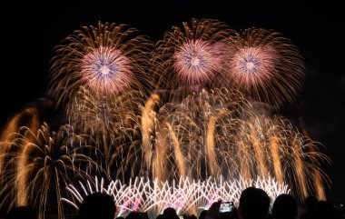 Busan Kore 'deki bir köprünün yakınındaki göz kamaştırıcı bir gece kutlamasında kalabalığın üzerinde parlak havai fişekler patladı..