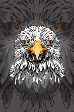 Baş kartal vektör çizimi