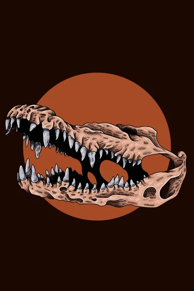 ワニの頭蓋骨ベクトル図 — ストックベクタ