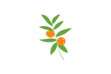 Bahar Kore Stili Etiketi