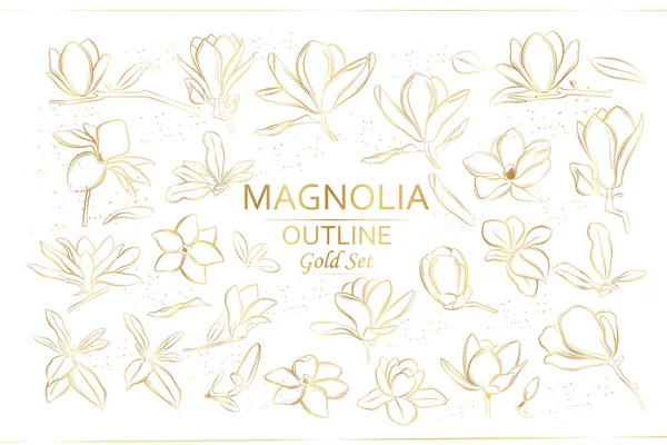 Set Fiori Magnolia Fiori Vettoriali Stile Line Art Rami Dorati — Vettoriale Stock