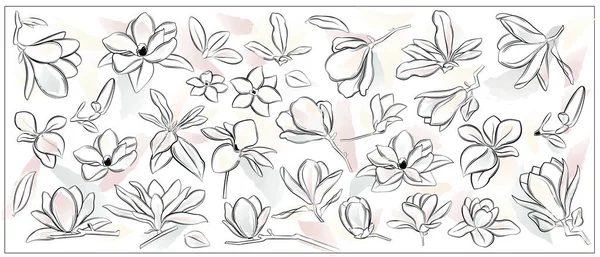 Magnolienblütenset Vorhanden Vektorblumen Linienkunst Aquarell Hintergrund — Stockvektor