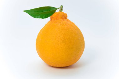 Beyaz arka planda küçük yeşil yapraklı bir portakal.