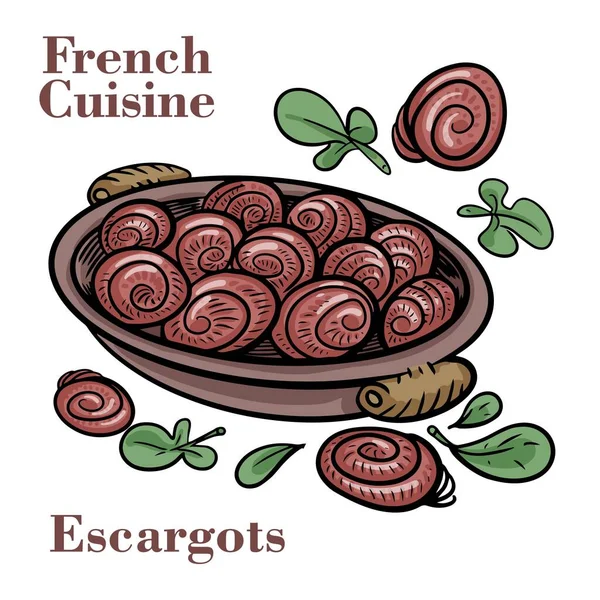 Französische Küche Escargot Mit Sauce — Stockvektor