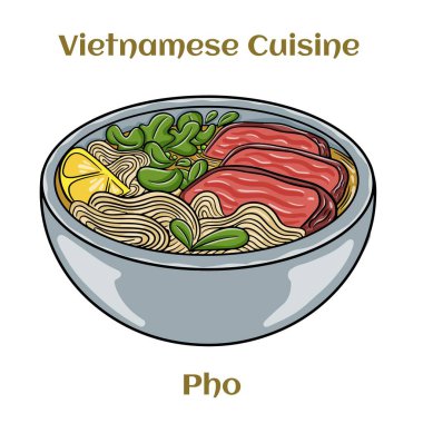 Pho Bo Vietnam çorbası, sığır eti ve pirinç eriştesi. İzole vektör illüstrasyonu. 