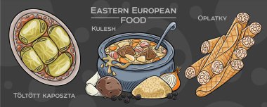 Bir dizi popüler Doğu Avrupa geleneksel yiyeceği. Vektör illüstrasyonu, elle çizilmiş ve koyu bir arkaplanda sunulmuştur