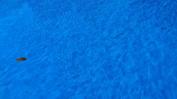 Swimming pool with blue bottom filled with water and a tree leaf floating on the surface.