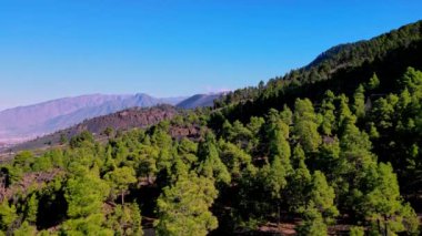 La Palma adasının hava manzarası açık mavi gökyüzünün altında yeni volkanla birlikte canlı bir orman manzarası sergiliyor..