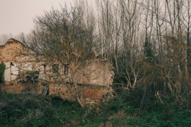 Yıkılan taş kalıntıları yapraksız ağaçlar ve yoğun bitki örtüsüyle çevrili tenha bir kırsal alanda gizem ve tarihi çağrıştırıyor..