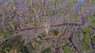 Kurumuş ağaçların, çamurlu arazinin ve gökyüzünü yansıtan dağınık su havuzlarının olduğu kurumuş bir su deposunun insansız hava aracı görüntüleri kuraklığı ve çevresel değişiklikleri vurguluyor..