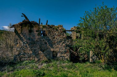 Kırık camları ve açık mavi gökyüzünün altında kısmi çatısı olan yıkık taştan bir ev. Aşırı gelişmiş bitki örtüsü, unutulmuş bir kırsal bölgedeki kalıntıları çevrelemektedir..