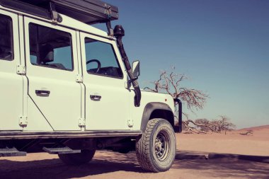 Güneşli bir günde çölün ortasında beyaz bir off-road arabası.
