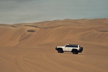 Beyaz 4x4 SUV Namib Çölü 'nde altın kum tepelerini aşıyor. Hareketli bir off-road aracı, dramatik bir çöl zeminine doğru parlak güneş ışığında yakalandı.