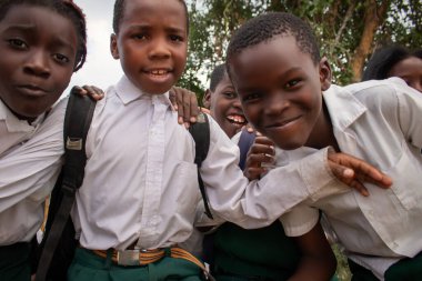 Üniformalı neşeli Afrikalı öğrencilerin birinci sınıf yakın çekimi. Doğal ışık altında gülümsüyorlar. Gerçek hayatta gençliği, eğitimi, mutluluğu ve kültürel canlılığı yakalıyorlar..