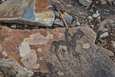 Antik kaya resimleri, petroglyph, kırılan taşlara gömülü paleolitik fosil binicisi mezarları, Altai Dağı bölgesi, Sibirya, Rusya