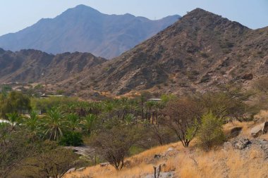 Kuzey Emirlikleri 'ndeki Hajar Dağları' ndan manzaralı bir sis manzarası BAE. Çevre turizmi, off-road safarisi, yürüyüş.