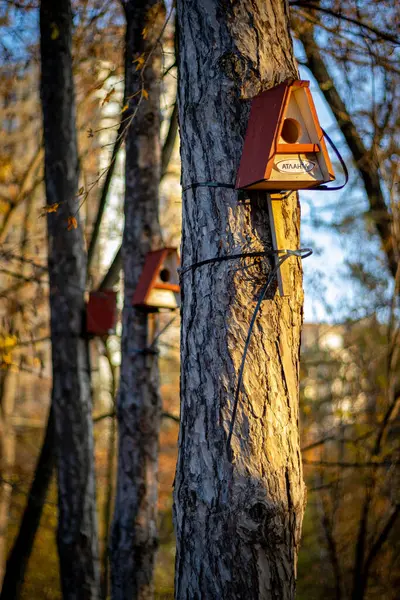 Vogelfutterhäuschen Wald — Stockfoto