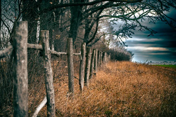 beautiful landscape with a fence in the forest