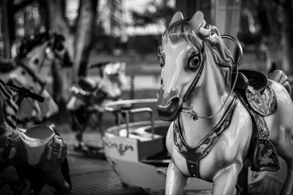 Kůň Městě — Stock fotografie