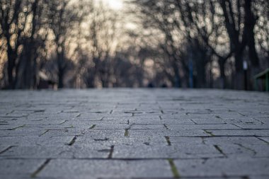 parkın içinden yol