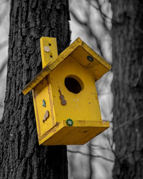 Ξύλινο Σπιτάκι Πουλιών Δέντρο — Φωτογραφία Αρχείου