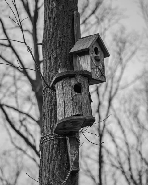 Stará Dřevěná Ptačí Budka Parku — Stock fotografie