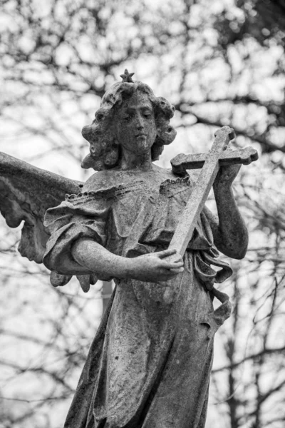 Anjo Com Rosto Triste Velho Cemitério — Fotografia de Stock
