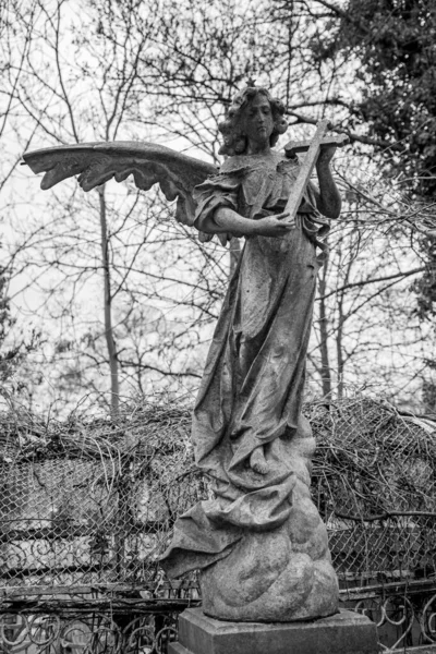 Ένας Όμορφος Άγγελος Στο Πάρκο — Φωτογραφία Αρχείου