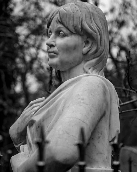Estatua Del Ángel Viejo Cementerio Parque — Foto de Stock