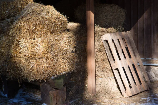 Haystacks in a barn prepared for animal feed on a farm.