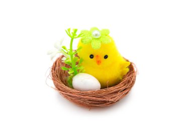Decorative chick with egg sitting in the nest isolated on white background.