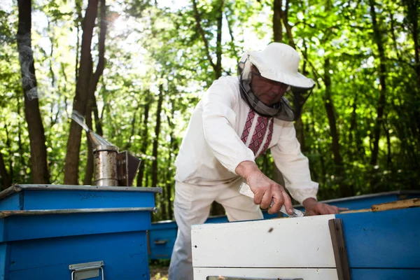 Arı Yetiştiricisi Arılarla Arı Kovanlarıyla Çalışıyor Arıcılık Görüntü — Stok fotoğraf