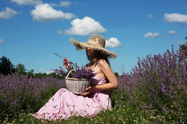 バスケット付きの藁帽子の若い美しい女性はラベンダー畑で花の香りを楽しんでいます — ストック写真