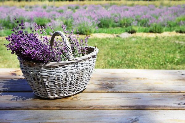 Bouquet Von Frisch Geschnittenem Lavendel Einem Weidenkorb Steht Auf Einem — Stockfoto