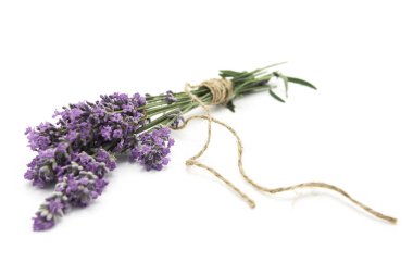 Beyaz arka planda taze kesilmiş lavanta buketi..