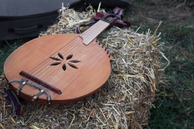 Bandura. Geleneksel Ukrayna müzik enstrümanı.
