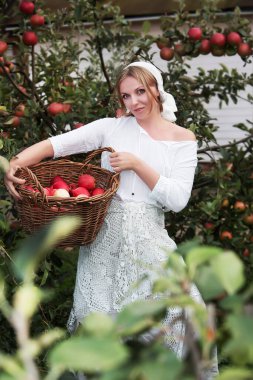 Bahçeden elma topladıktan sonra hasır sepetli güzel bir genç kadın..