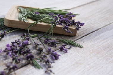 Eski beyaz ahşap bir arka planda taze kokulu lavanta çiçekleri..