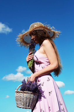Hasır şapkalı, sepetli genç seksi kadın lavanta tarlasında çiçeklerin kokusundan hoşlanıyor..