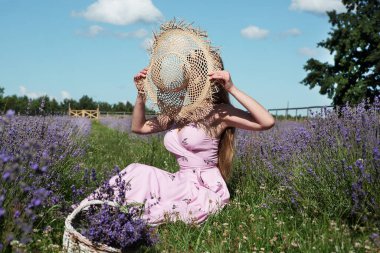 Genç, seksi, güzel bir kadın lavanta tarlasında otururken parlak güneşten gelen hasır bir şapkayla yüzünü kapatıyor..