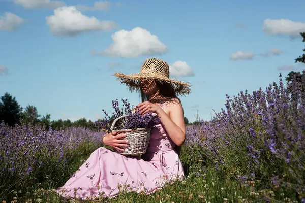 Hasır şapkalı genç bir kadın lavanta tarlasında çiçek topluyor..