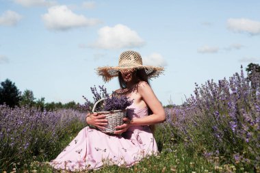 Genç, seksi, güzel bir kadın, çiçeklerin kokusundan keyif alıyor. Çiçeklerle dolu bir sepetin içinde, çiçek tarlasında otururken. Çiçek topluyorum..