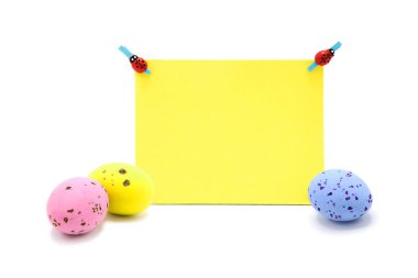 Beyaz bir arka planda saçılmış renkli yumurtalarla ahşap uğurböceği mandallı boş bir kart. Uzayı kopyala Metin için boş alan. Mutlu Paskalyalar! Paskalya geleneksel el yapımı boyanmış yumurtalar.