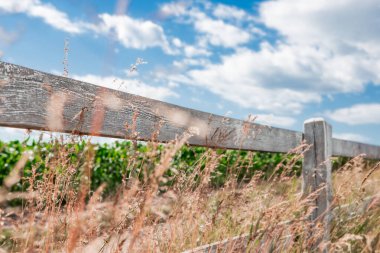 Bulutlu ve güneşli bir gökyüzüne karşı bir tarlanın yakınında ahşap ev yapımı çitler. Ülke ya da tarım geçmişi.