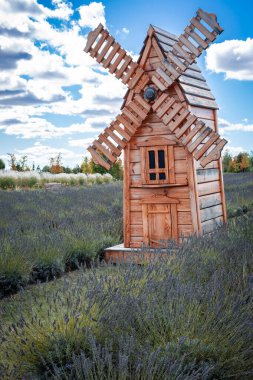 Güzel ahşap yel değirmenleri bulutlu bir gökyüzüne karşı çiçek açan bir tarlada duruyor..
