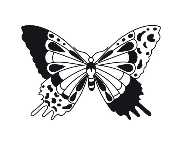 Motýl Vektorová Kresba Detailní Záběr Použito Pro Webový Design — Stockový vektor