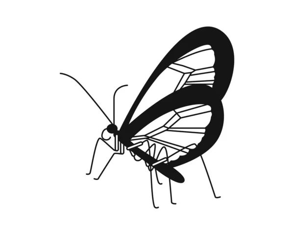Метелик Векторний Малюнок Крупним Планом Використовується Веб Дизайну — стоковий вектор